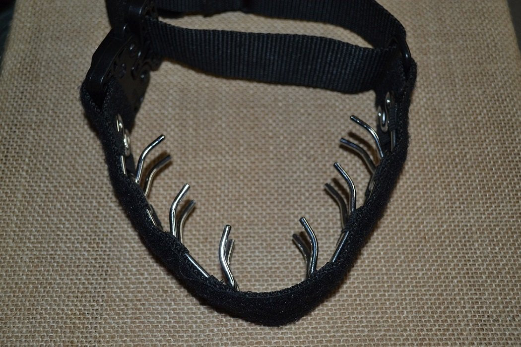 Prong collar cover clearance diy